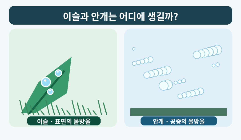 이슬은 풀잎 표면에 맺히고 안개는 지표면 가까운 공중에 떠 있는 물방울임을 비교한 그림